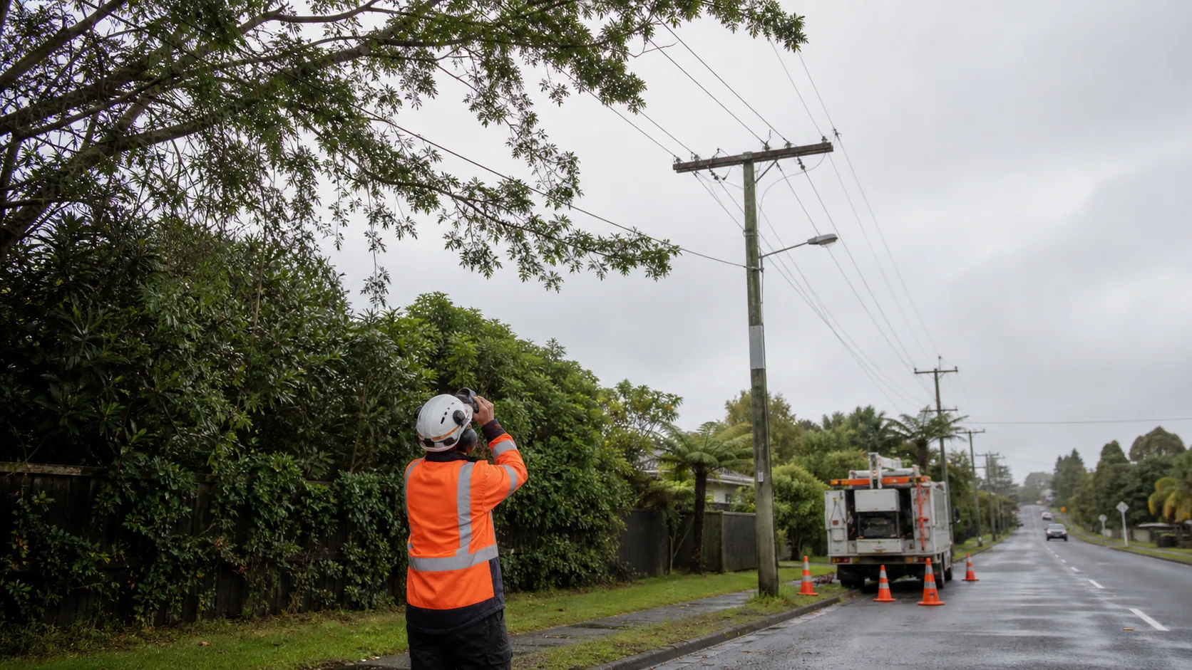 Who Should Handle Trees Growing Near Powerlines? on a Rotorua property