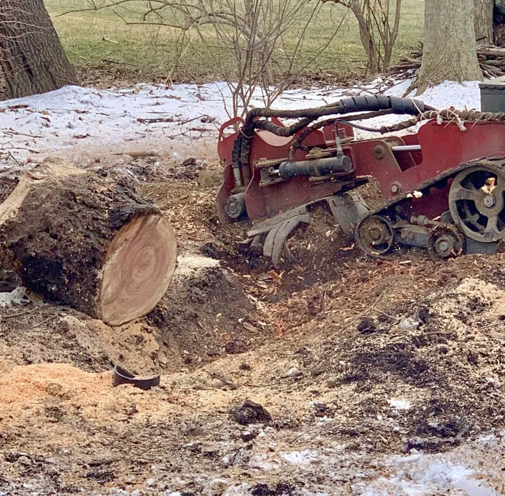 stump grinding rotorua